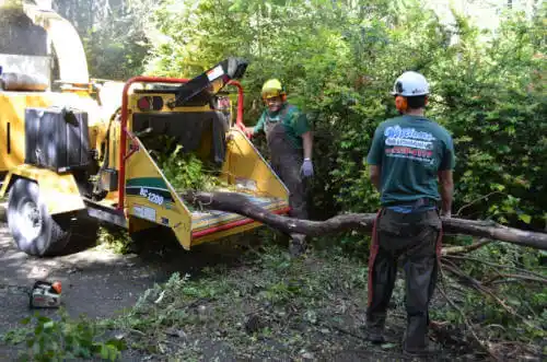 tree services Hillside